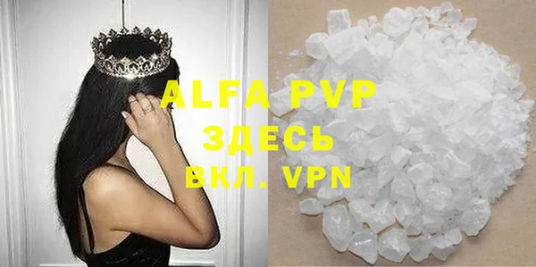 прущие грибы Абдулино