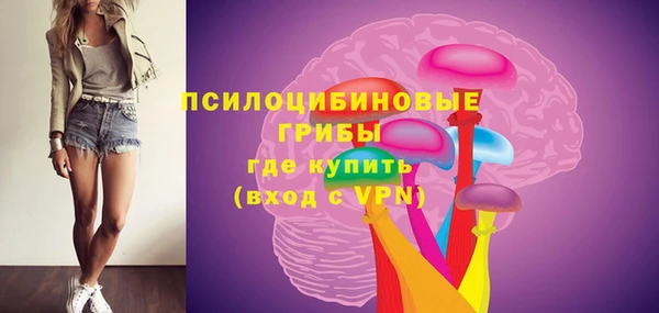 дурь Краснослободск