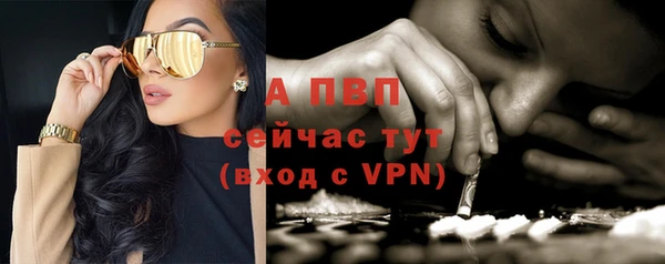 ПСИЛОЦИБИНОВЫЕ ГРИБЫ Краснотурьинск