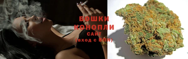 прущие грибы Абдулино