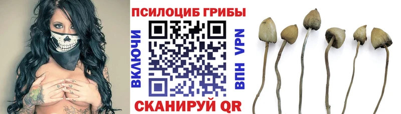 Псилоцибиновые грибы Magic Shrooms  гидра ТОР  Юрюзань 